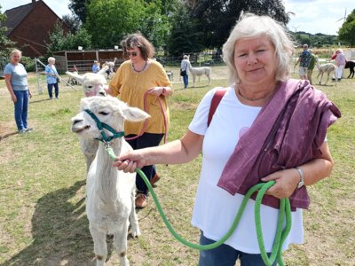 Foto des Albums: Alpaka Ausflug