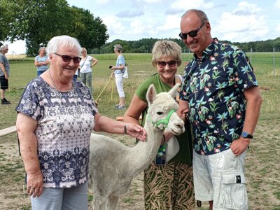 Foto des Albums: Alpaka Ausflug