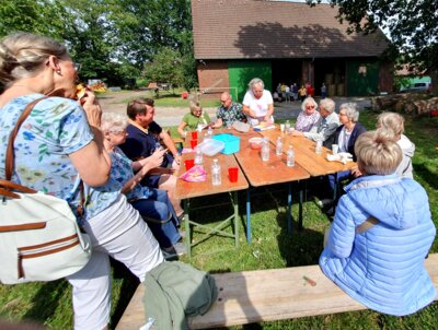 Foto des Albums: Alpaka Ausflug