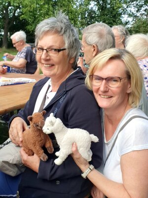 Foto des Albums: Alpaka Ausflug