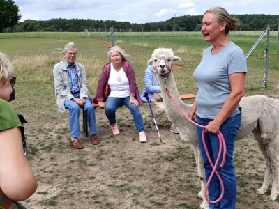 Foto des Albums: Alpaka Ausflug