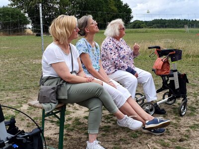 Foto des Albums: Alpaka Ausflug