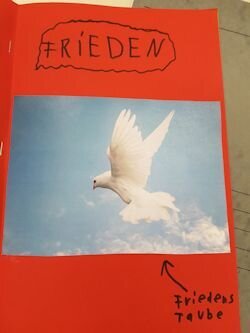 Foto des Albums: Friedensprojekt im LER-Unterricht der Klassen 5 und 6