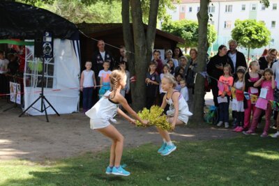 Foto des Albums: Sommerfest 2018