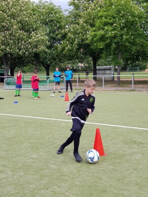Foto des Albums: Das Regionalfinale Fußball 2019