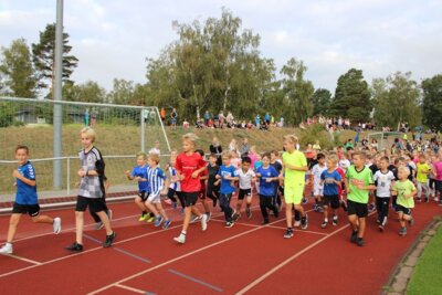 Foto des Albums: Sponsorenläufe 2018