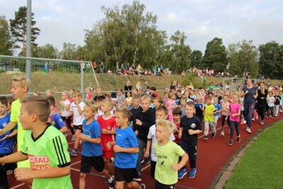 Foto des Albums: Sponsorenläufe 2018