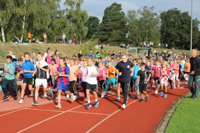 Foto des Albums: Sponsorenläufe 2018