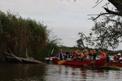 Foto des Albums: Klassenfahrt nach Salem Klassen 6b und 6c
