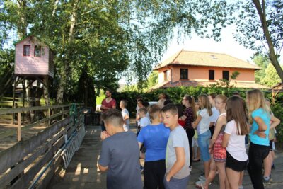 Foto des Albums: Letzte Schulwoche der 6c