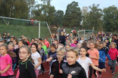 Foto des Albums: Sponsorenläufe 2019