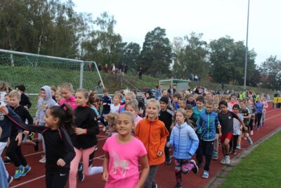 Foto des Albums: Sponsorenläufe 2019