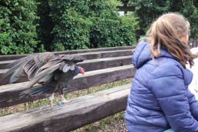 Foto des Albums: Wandertage statt Klassenfahrt