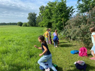 Foto des Albums: Besuch beim Imker