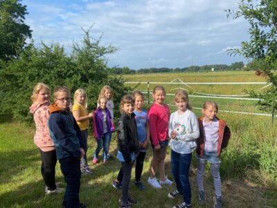 Foto des Albums: Besuch beim Imker