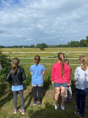 Foto des Albums: Besuch beim Imker