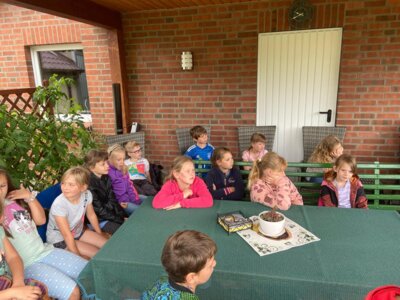 Foto des Albums: Besuch beim Imker