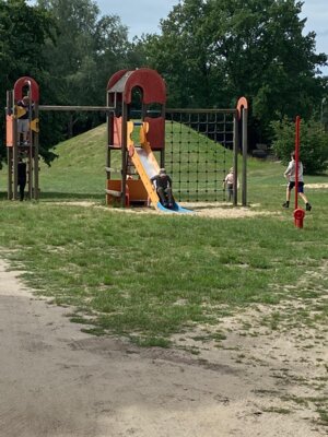 Foto des Albums: Besuch beim Imker