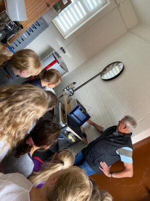 Foto des Albums: Besuch beim Imker