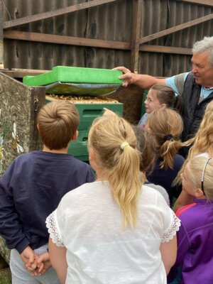 Foto des Albums: Besuch beim Imker