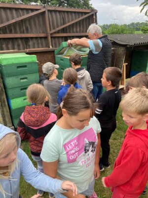 Foto des Albums: Besuch beim Imker