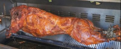 Foto des Albums: Wildschwein am Spieß