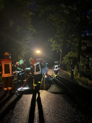Foto des Albums: Technische Hilfe Klein - PKW gegen Baum 07/23