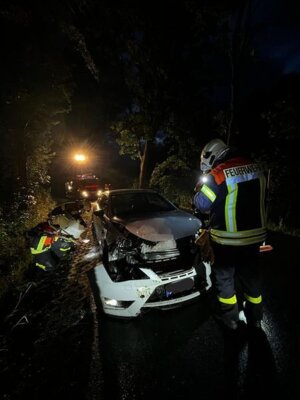 Foto des Albums: Technische Hilfe Klein - PKW gegen Baum 07/23