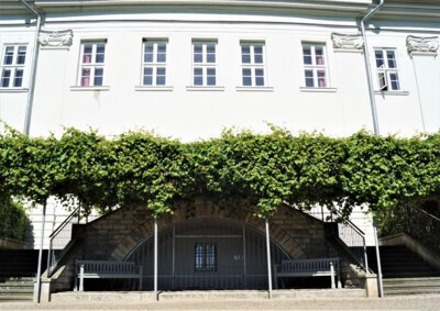 Vorschaubild der Galerie