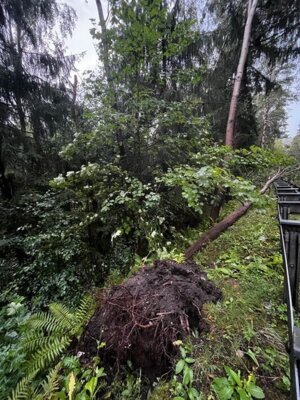 Foto des Albums: Sonderlage Unwetter 08/23