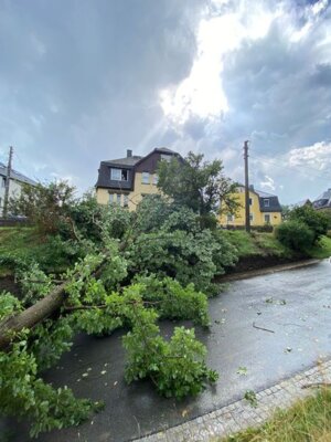 Foto des Albums: Technische Hilfe Klein - Baum in Freileitung Bösewetterweg 08/23