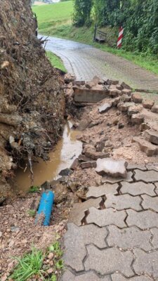 Foto des Albums: Technische Hilfe Klein - Baum auf Straße Schwarzenberger Straße 08/23