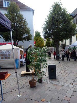 Foto des Albums: Lange Tage auf dem Marktplatz Tuttlingen
