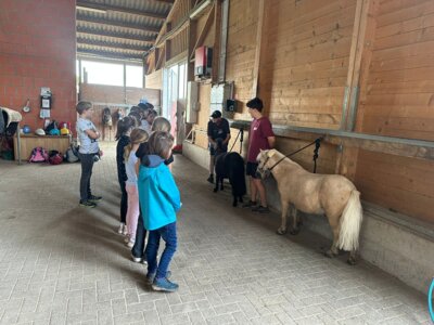 Foto des Albums: Ferienspiele 2023