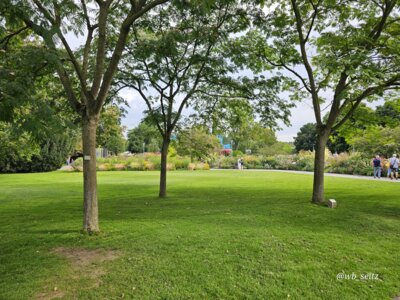 Foto des Albums: Mannheim BUGA