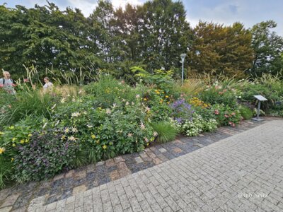 Foto des Albums: Mannheim BUGA