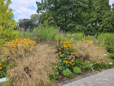 Foto des Albums: Mannheim BUGA