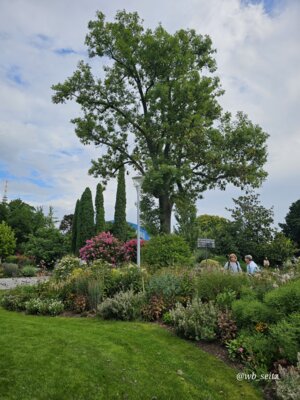 Foto des Albums: Mannheim BUGA