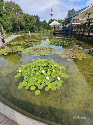 Foto des Albums: Mannheim BUGA