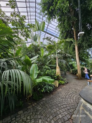 Foto des Albums: Mannheim BUGA