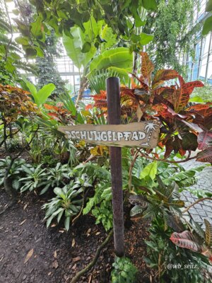 Foto des Albums: Mannheim BUGA