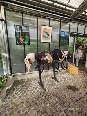 Foto des Albums: Mannheim BUGA