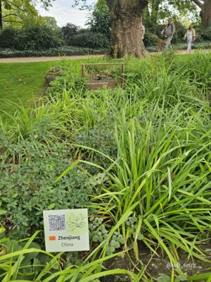 Foto des Albums: Mannheim BUGA
