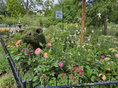 Foto des Albums: Mannheim BUGA