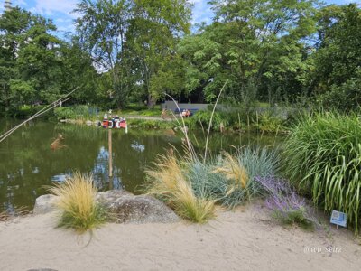 Foto des Albums: Mannheim BUGA