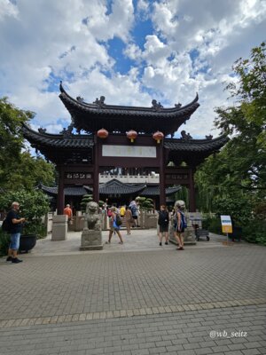 Foto des Albums: Mannheim BUGA