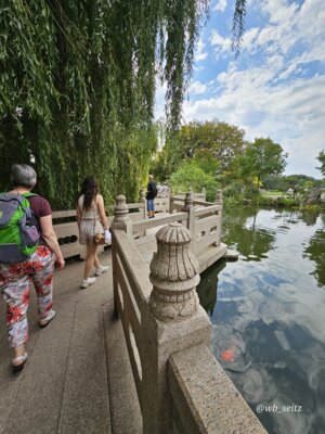 Foto des Albums: Mannheim BUGA