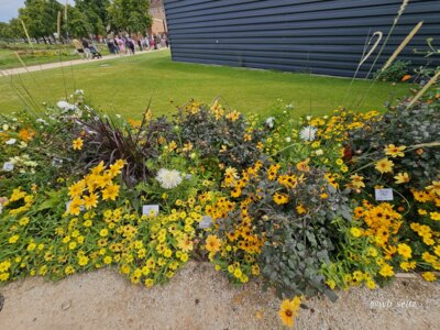 Foto des Albums: Mannheim BUGA