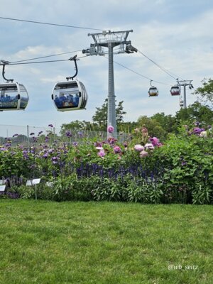 Foto des Albums: Mannheim BUGA