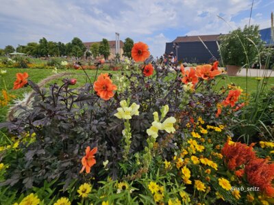 Foto des Albums: Mannheim BUGA